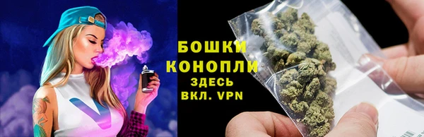 spice Аркадак