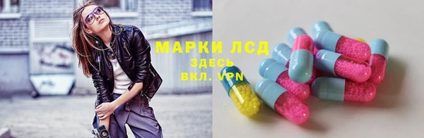 spice Аркадак