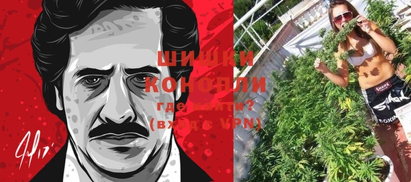PSILOCYBIN Арсеньев