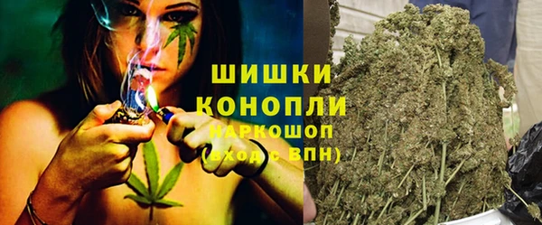 spice Аркадак