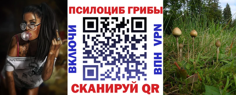 Галлюциногенные грибы Psilocybine cubensis  Купить где  Снежногорск 